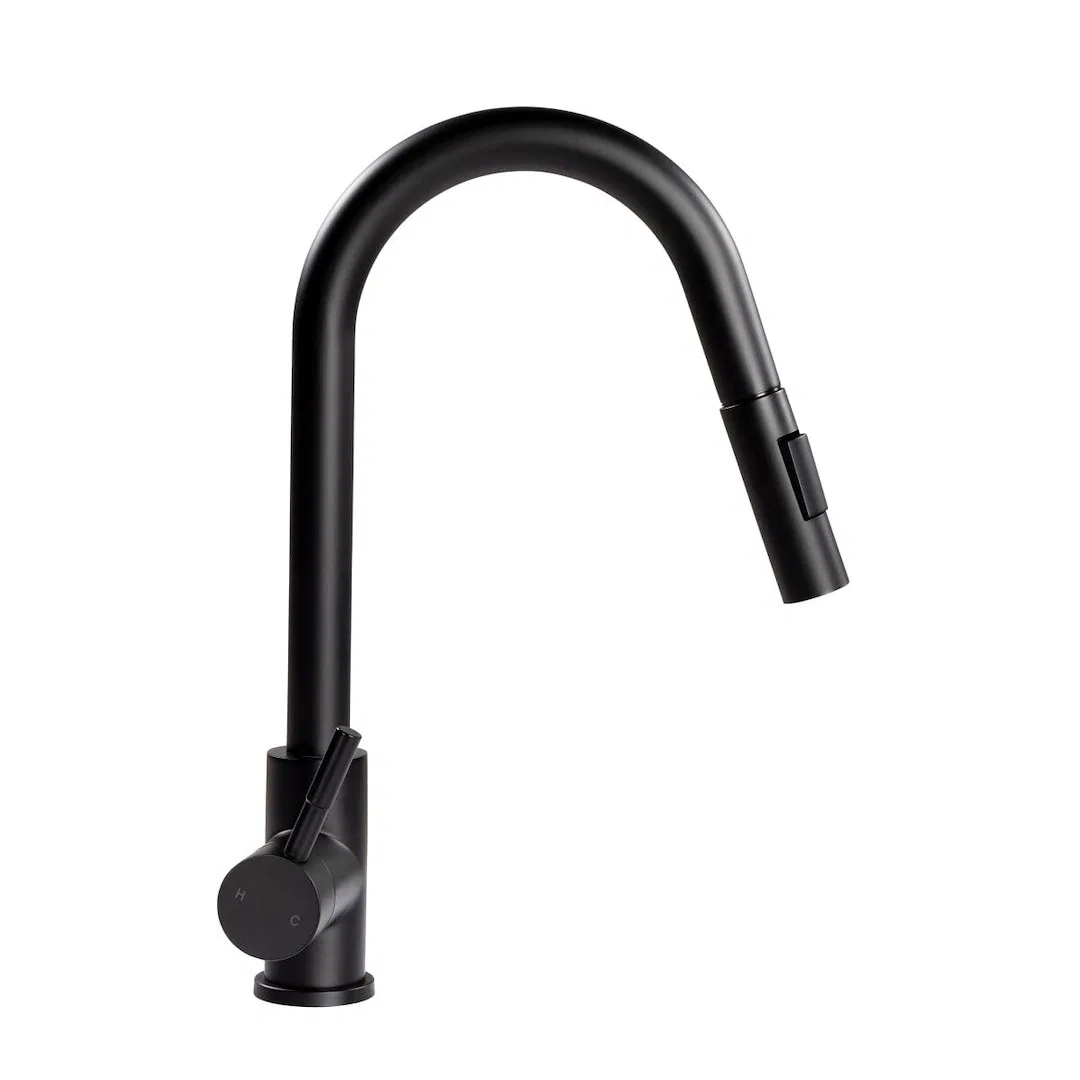 2021090600 – LIPPERT COMP Faucet, Used For Kitchen Single Piece Deck Mount Bullet Pull Down Spout Single Lever Handle...